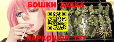 дживик Берёзовский