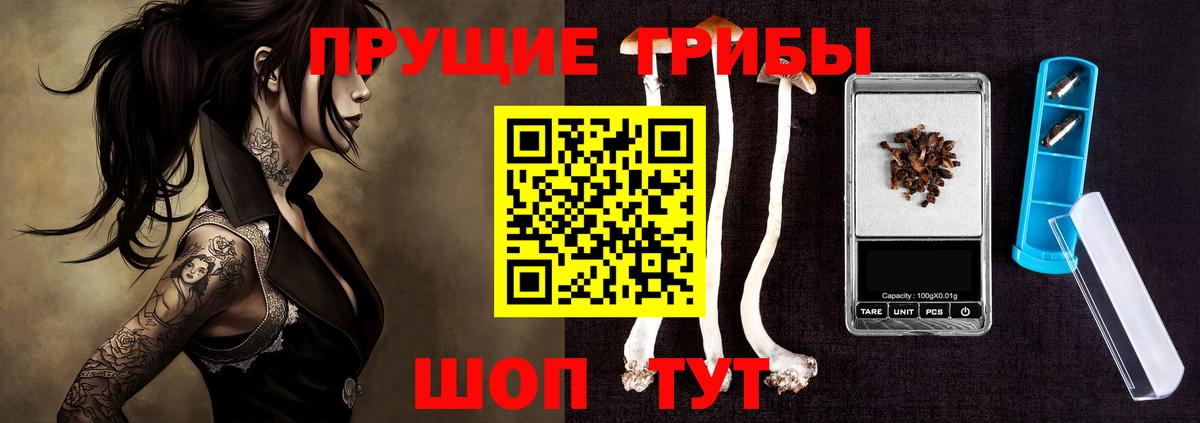 Зеленодольск  закладки  Вход с VPN  Псилоцибиновые грибы Psilocybine cubensis 
